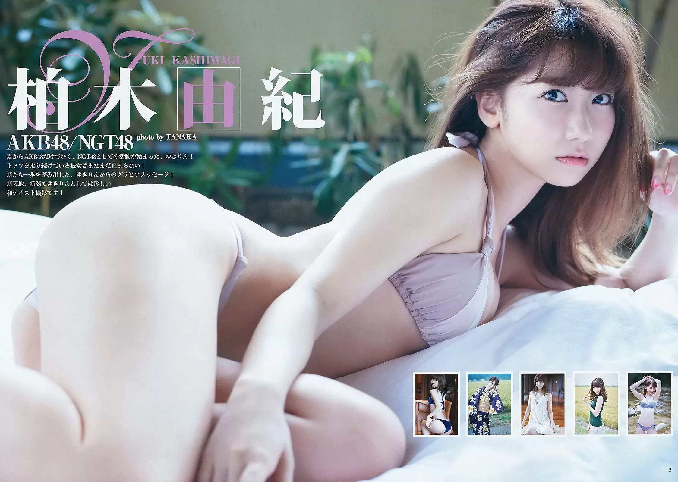 柏木由纪 山下エミリー [Weekly Young Jump] 2015年 写真杂志 Vol.980356-3