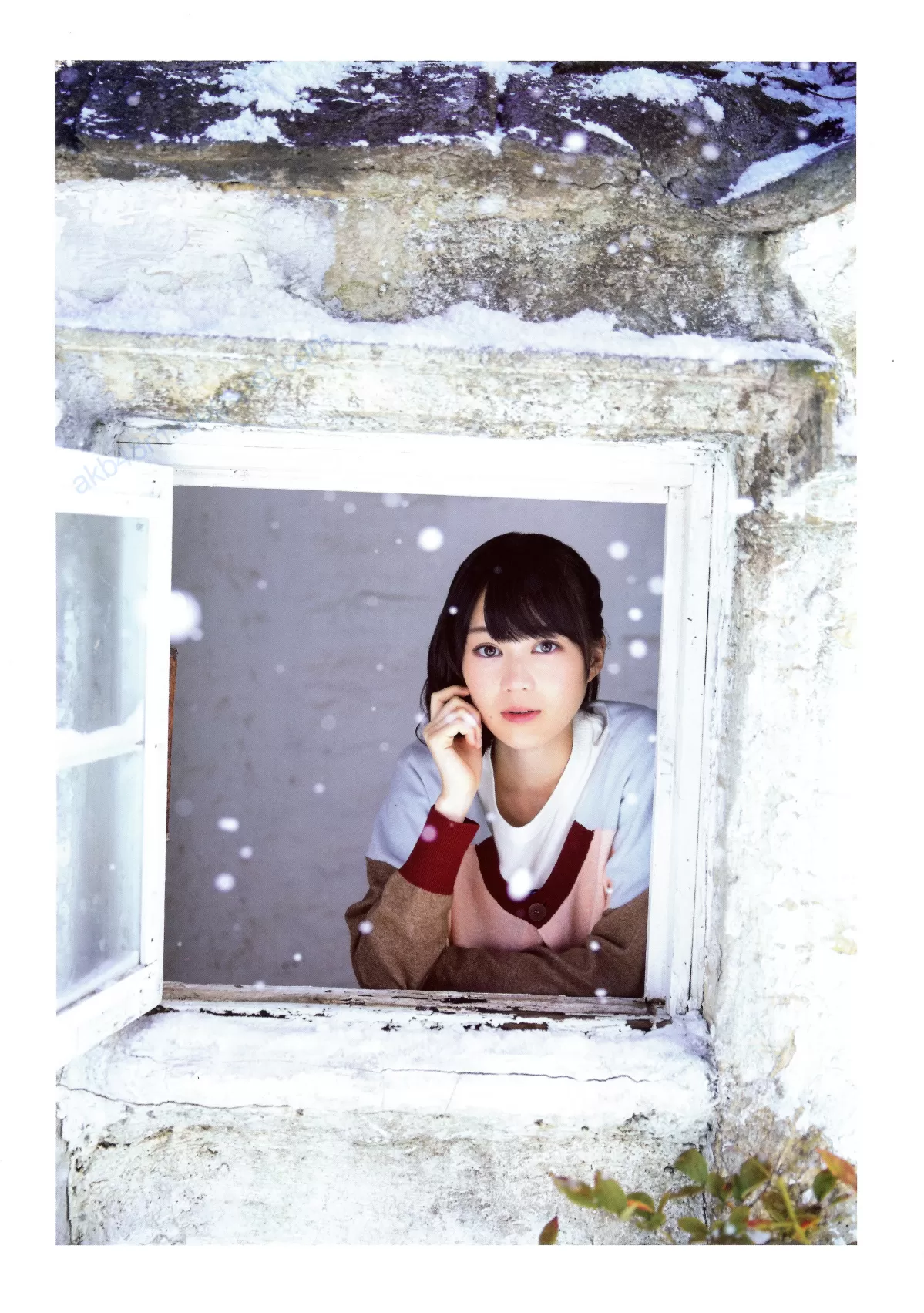 乃木坂46 《Winter 彩冬》 [PB 季刊 Vol.439450-2