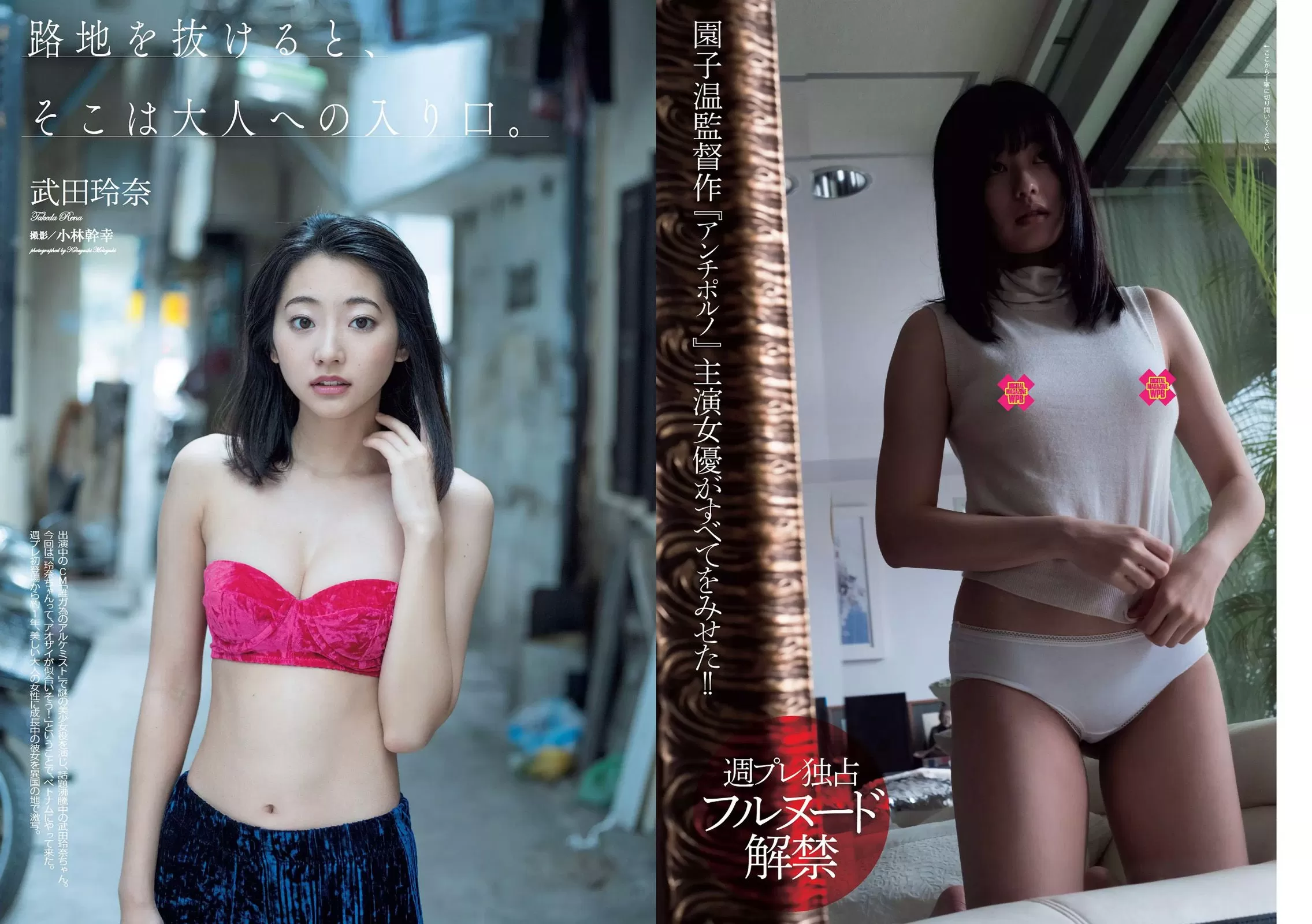 武田玲奈 冨手麻妙 川口春奈 瑠衣夏 野村麻纯 入矢麻衣 桥本梨菜 [Weekly Playboy] 2017年 写真杂志 Vol.257284-4