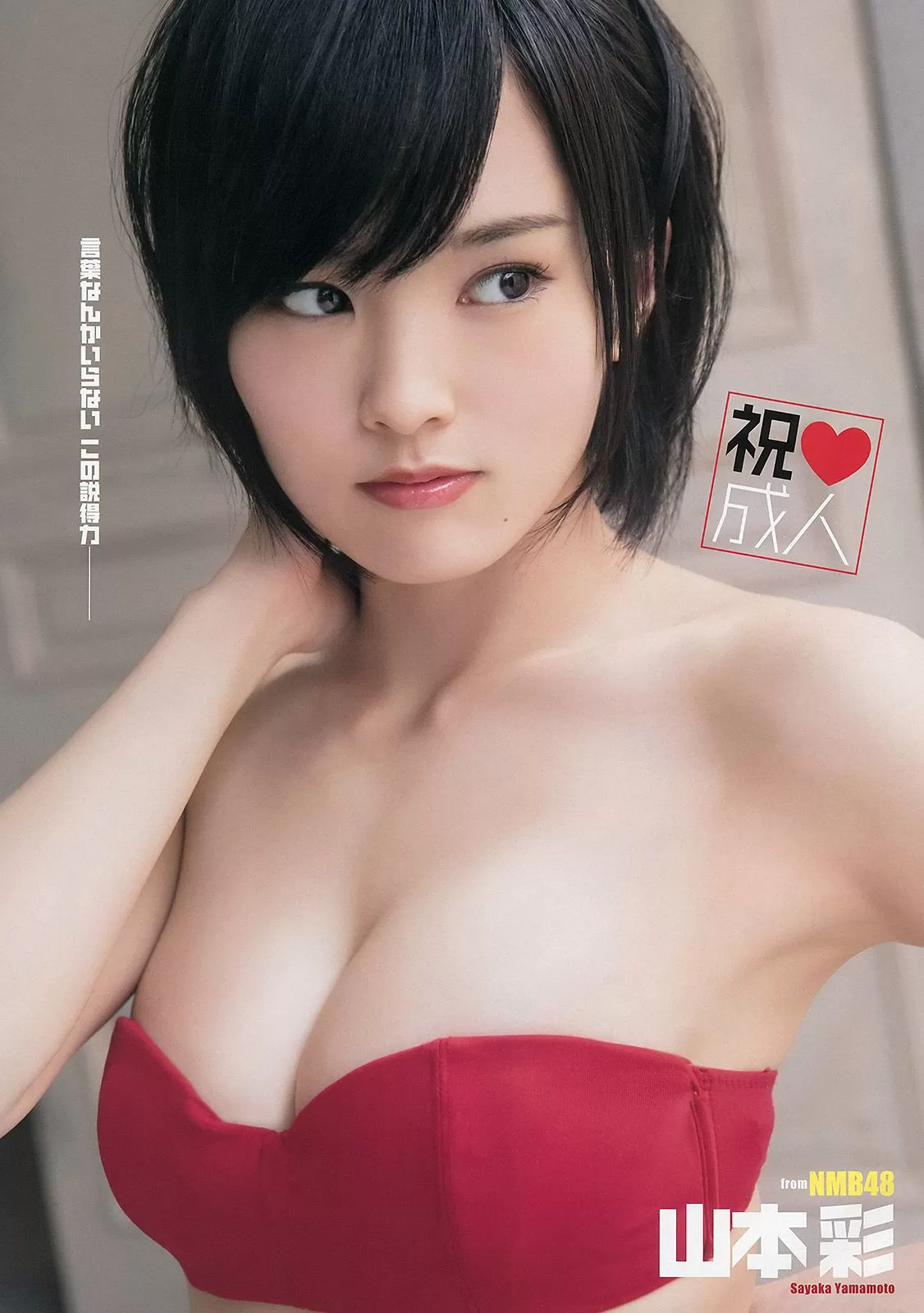 山本彩 后藤郁 [Young Animal] 2014年 写真杂志 Vol.893862-2