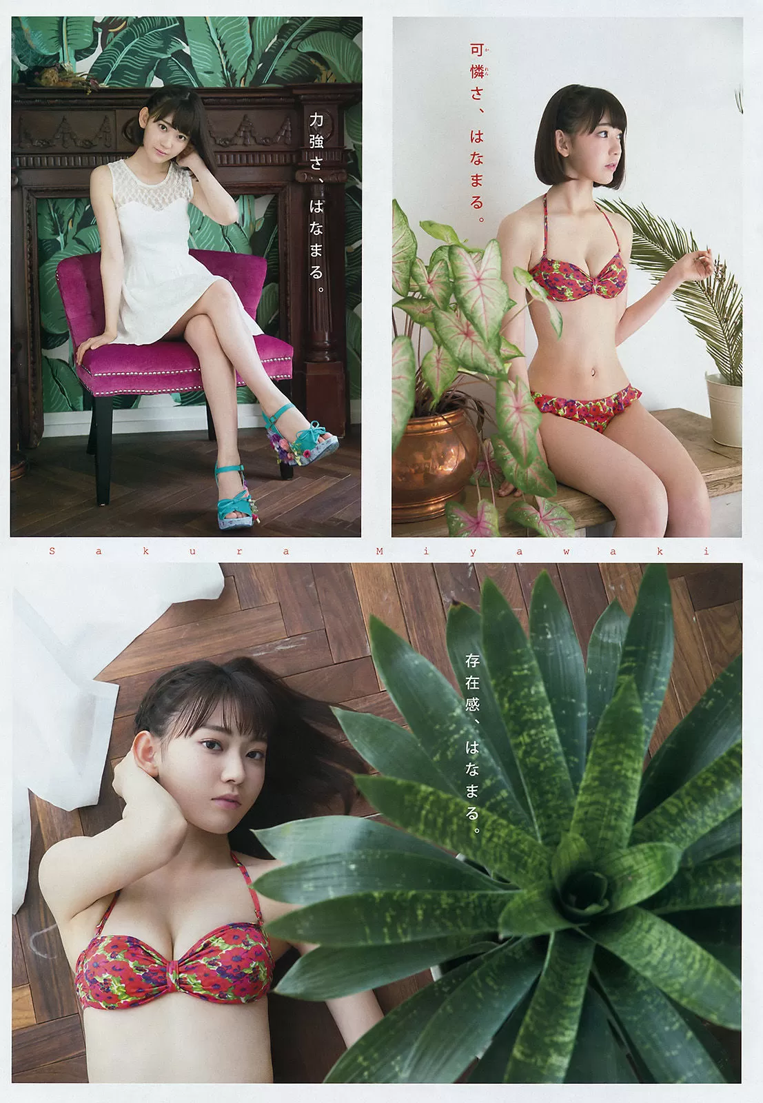 [Young Magazine] 2016年 宫脇咲良 大泽玲美 Vol.761135-4